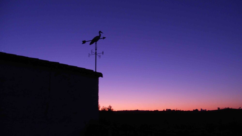 Hide o Aguardo para fotografía y observación de aves en Sierra de  Monesterio (Badajoz)